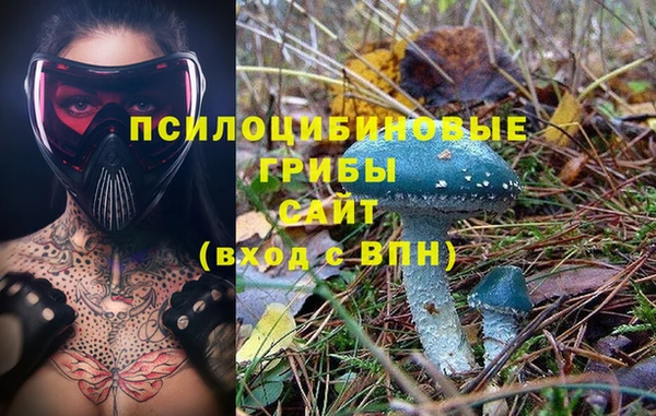 амфетамин Лабытнанги