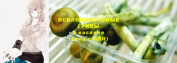 гидра Лагань