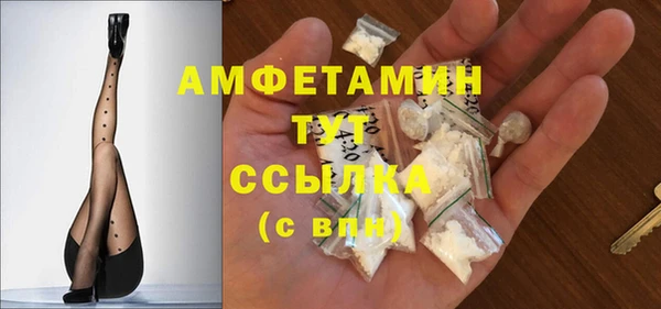 гидра Лагань
