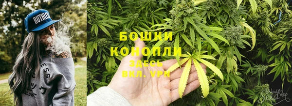 гидра Лагань