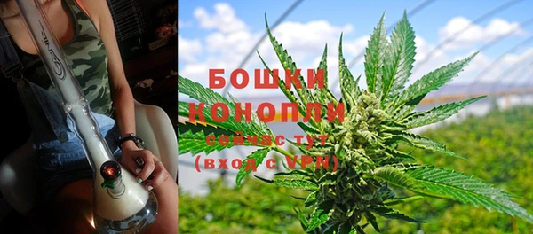 гидра Лагань
