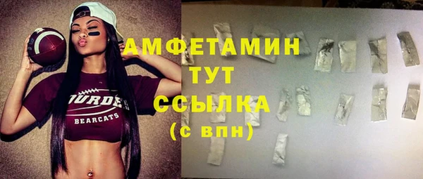 гидра Лагань