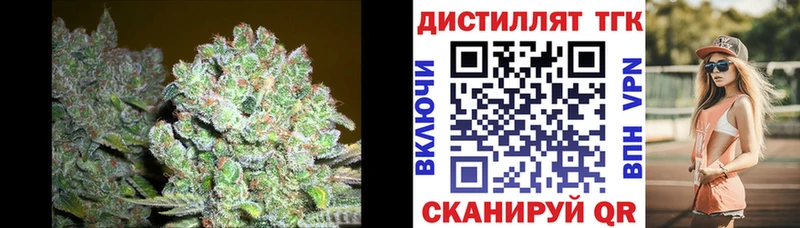 Дистиллят ТГК гашишное масло  Купить  Железногорск-Илимский 
